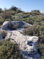 תמונה ממוזערת לגרסה מתאריך 07:52, 29 בדצמבר 2020