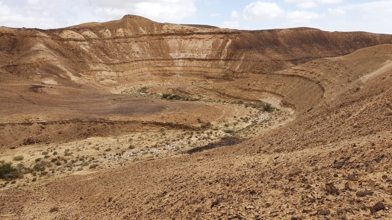 קובץ:20200306 130514.jpg