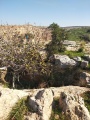 תמונה ממוזערת לגרסה מתאריך 08:50, 12 בינואר 2021