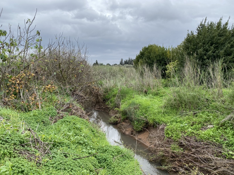 קובץ:2021-01-15T11 45 15.994109205263.jpg