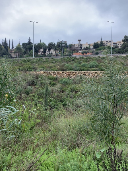 קובץ:2021-01-15T11 46 46.297763131395.jpg