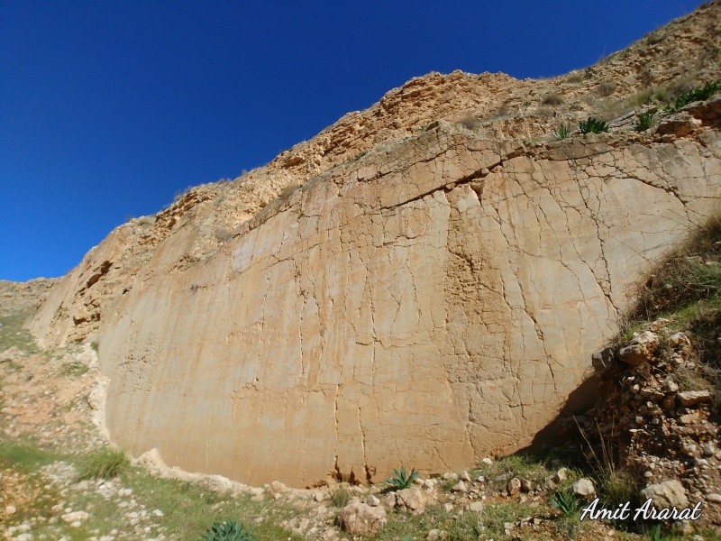 קובץ:2021-01-22T13 06 26.128765648475.jpg