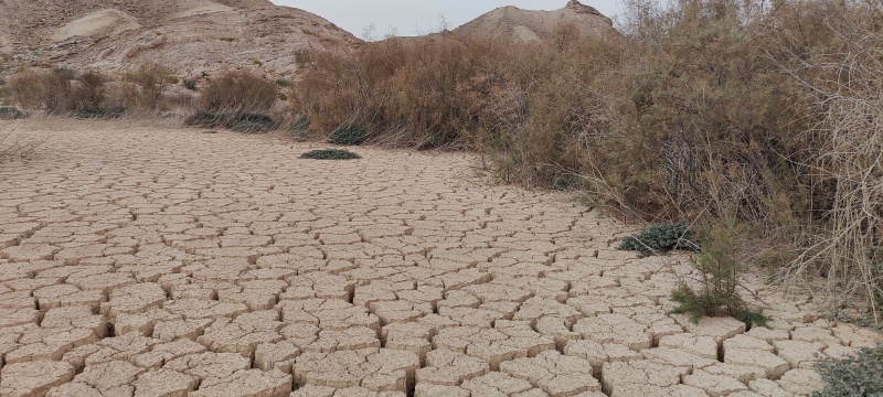 קובץ:2021-01-27T17 16 20.185754558891.jpg