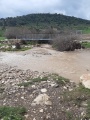 תמונה ממוזערת לגרסה מתאריך 09:10, 29 בינואר 2021