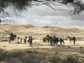 תמונה ממוזערת לגרסה מתאריך 11:55, 31 בינואר 2021