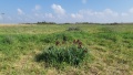 תמונה ממוזערת לגרסה מתאריך 11:36, 6 בפברואר 2021