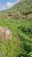 תמונה ממוזערת לגרסה מתאריך 10:46, 7 בפברואר 2021