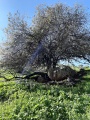 תמונה ממוזערת לגרסה מתאריך 11:59, 9 בפברואר 2021