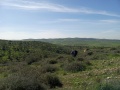 תמונה ממוזערת לגרסה מתאריך 08:00, 10 בפברואר 2021