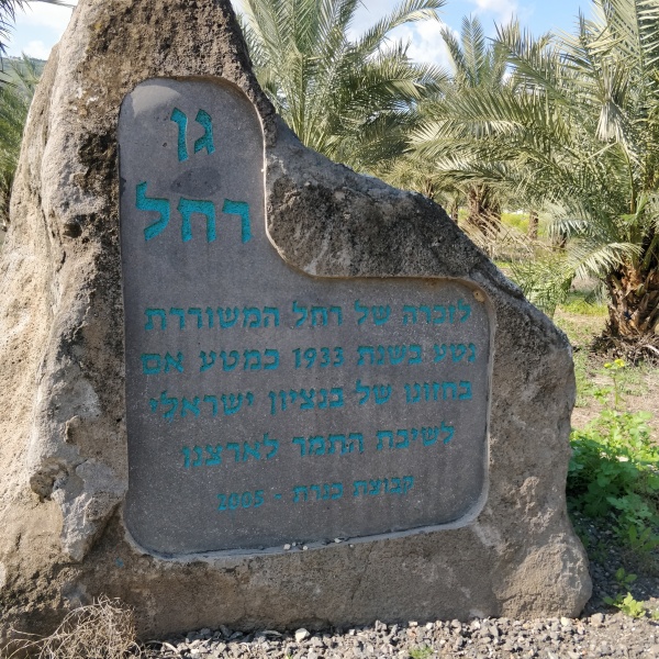 קובץ:2021-02-20T13 51 26.081300458666.jpg