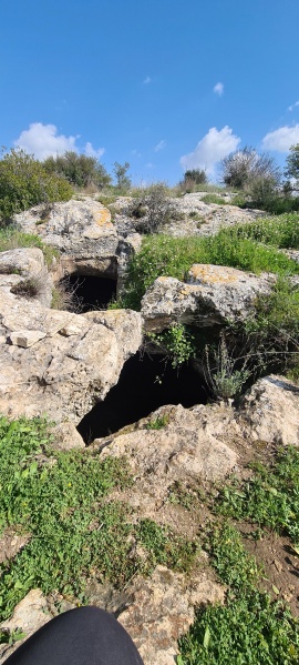 קובץ:2021-02-24T13 51 08.17904322994.jpg