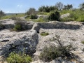 תמונה ממוזערת לגרסה מתאריך 10:10, 26 בפברואר 2021