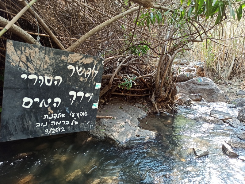 קובץ:2021-02-28T13 49 57.323758416538.jpg