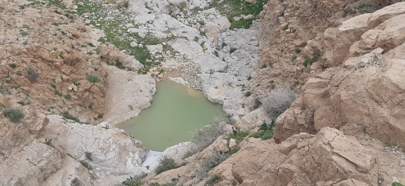 קובץ:2021-03-01T11 26 16.202403256087.jpg