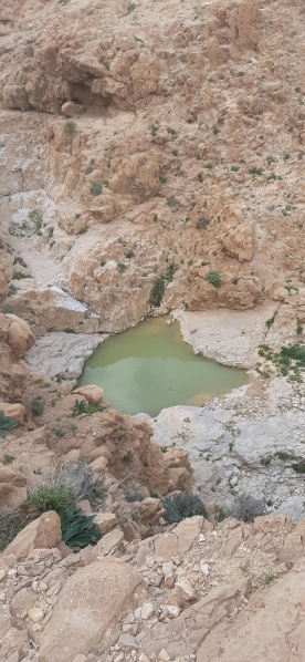 קובץ:2021-03-01T11 30 49.077063758408.jpg