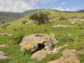 תמונה ממוזערת לגרסה מתאריך 12:10, 2 במרץ 2021