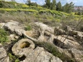 תמונה ממוזערת לגרסה מתאריך 13:45, 3 במרץ 2021