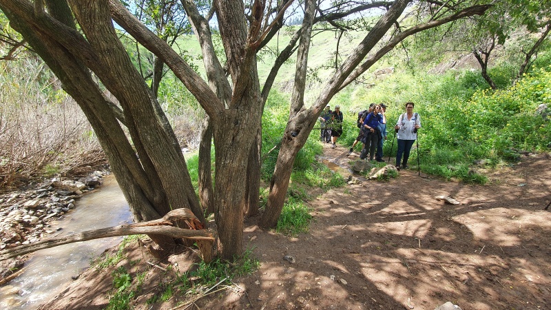 קובץ:2021-03-12T11 37 33.767775469289.jpg