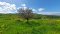 תמונה ממוזערת לגרסה מתאריך 08:41, 13 במרץ 2021