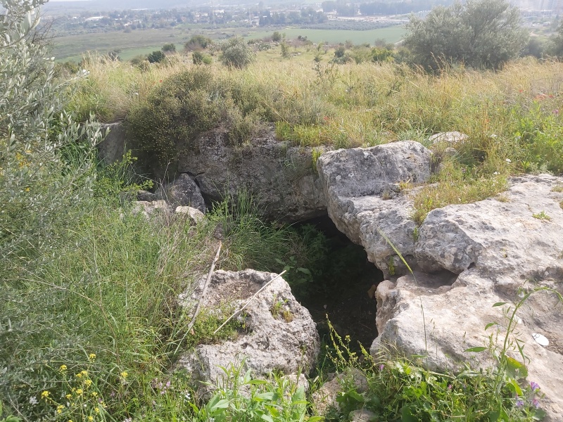 קובץ:2021-03-15T14 54 42.938037516930.jpg
