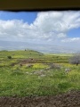 תמונה ממוזערת לגרסה מתאריך 06:42, 28 במרץ 2021