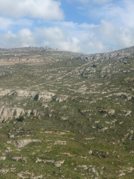 קובץ:2021-03-18T15 25 57.600259967878.jpg