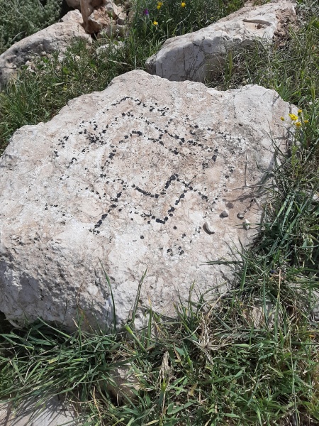 קובץ:2021-03-19T09 16 43.532731241081.jpg