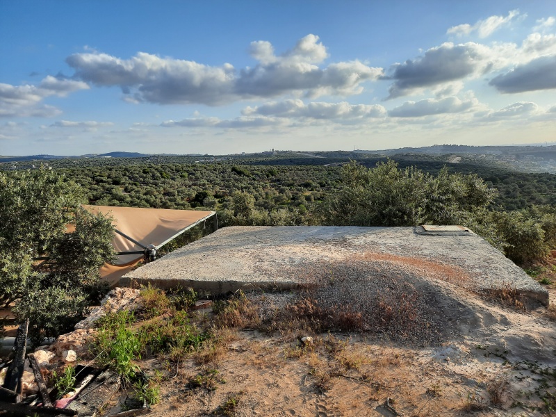 קובץ:2021-04-12T17 59 46.228310480700.jpg