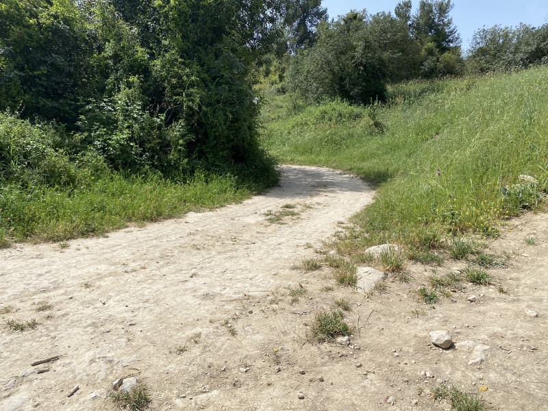 קובץ:2021-04-21T10 41 10.119089477457.jpg