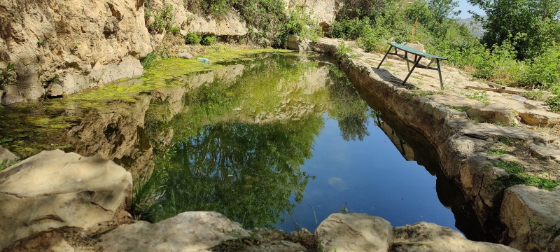 קובץ:2021-04-22T10 40 25.024021912292.jpg