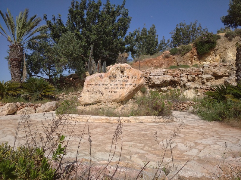 קובץ:2021-04-22T15 53 48.137882235622.jpg