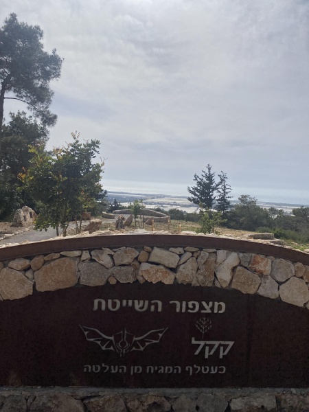 קובץ:2021-04-23T15 54 26.429589161625.jpg