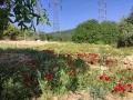 תמונה ממוזערת לגרסה מתאריך 05:59, 28 באפריל 2021