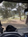 תמונה ממוזערת לגרסה מתאריך 04:51, 2 במאי 2021