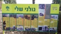 תמונה ממוזערת לגרסה מתאריך 14:00, 3 במאי 2021