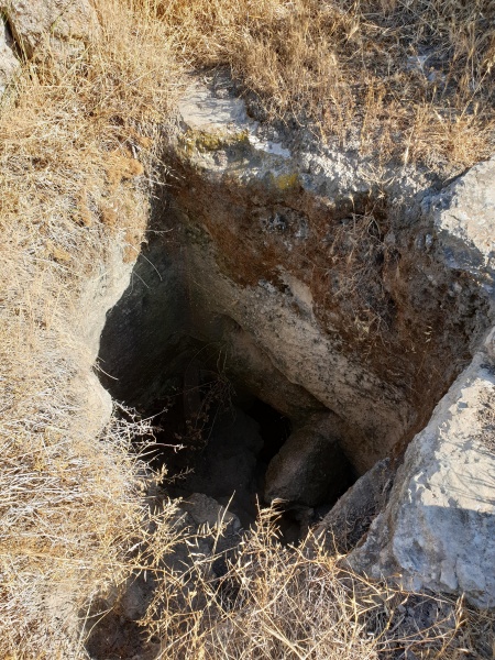 קובץ:2021-05-22T16 19 02.548844376757.jpg