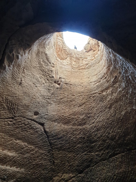 קובץ:2021-05-22T17 24 23.03511462423.jpg