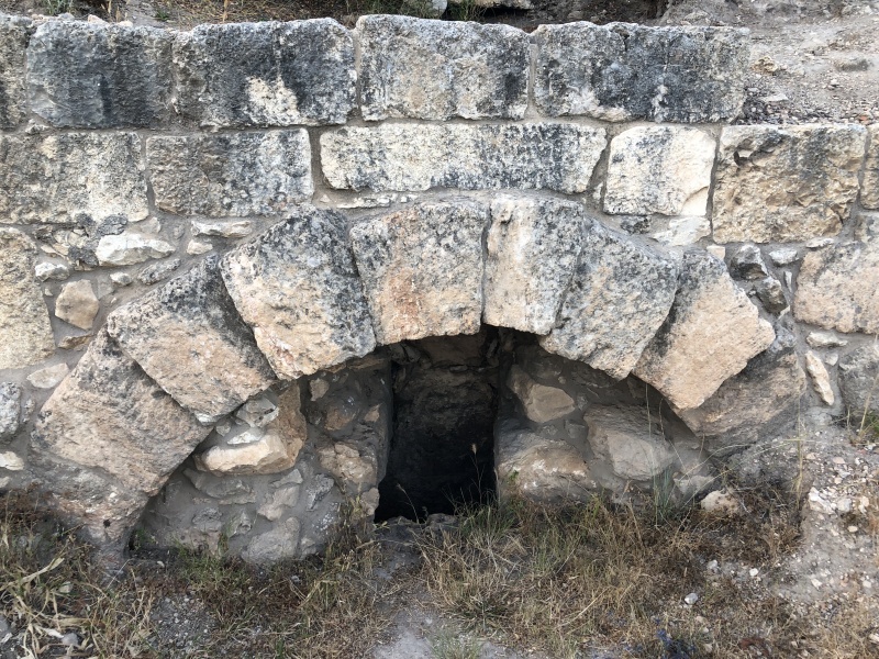 קובץ:2021-05-24T19 07 05.446921334827.jpg