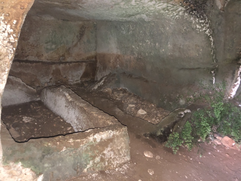 קובץ:2021-05-24T19 26 50.131023384836.jpg
