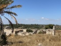 תמונה ממוזערת לגרסה מתאריך 08:26, 5 ביוני 2021