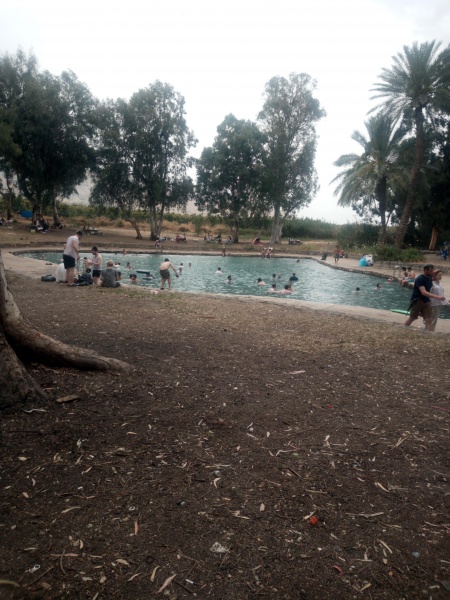 קובץ:2021-06-06T00 51 46.1784591458.jpg