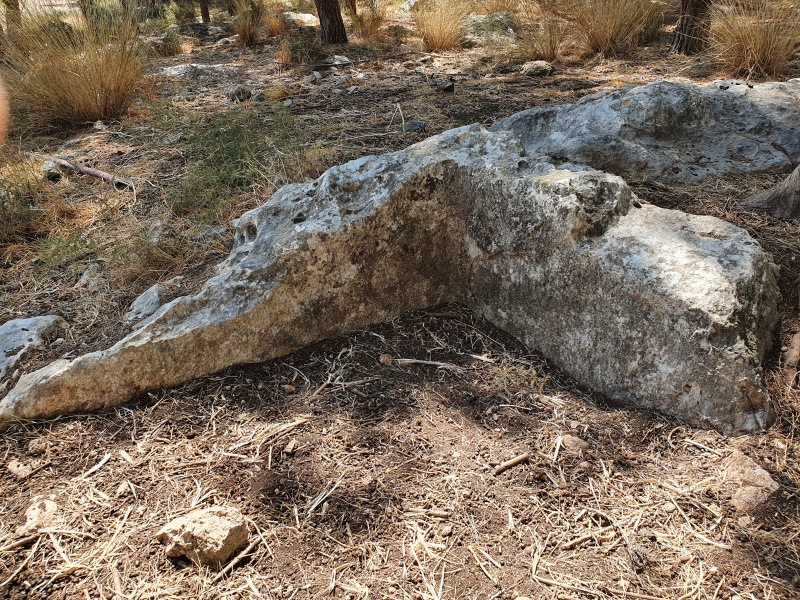 קובץ:2021-06-25T10 36 09.690709142081.jpg