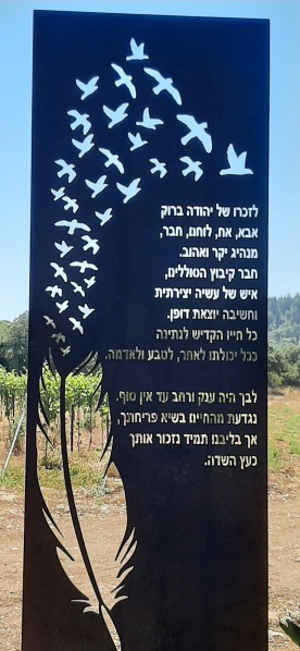 קובץ:2021-06-26T17 16 21.626149722473.jpg