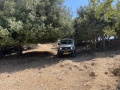 תמונה ממוזערת לגרסה מתאריך 08:18, 31 ביולי 2021