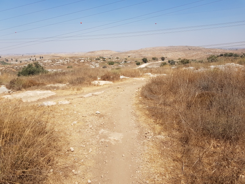 קובץ:2021-08-02T14 20 19.983179357498.jpg