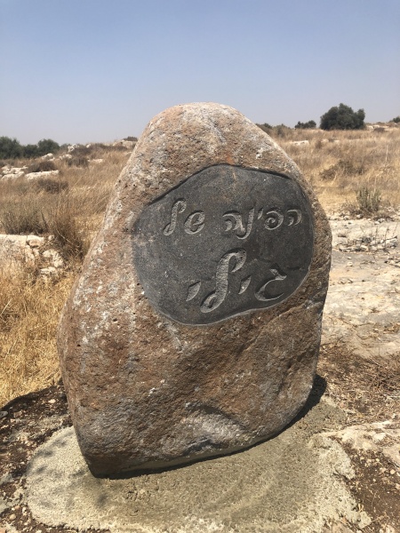 קובץ:2021-08-07T14 07 44.878291399022.jpg