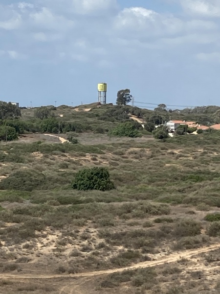 קובץ:2021-08-17T14 25 44.36495685644.jpg