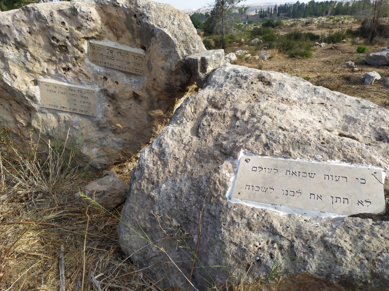 קובץ:2021-09-03T08 25 52.750218294002.jpg