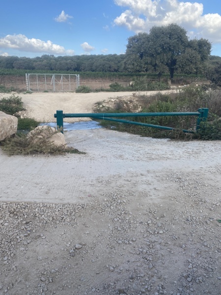 קובץ:2021-09-10T17 26 06.34469450853.jpg