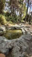 תמונה ממוזערת לגרסה מתאריך 12:35, 11 בספטמבר 2021